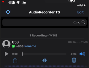 AudioRecorder TS