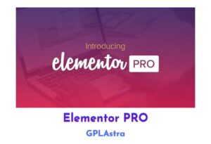 Elementor Pro