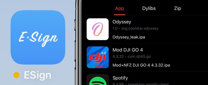 Esign iOS
