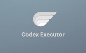 Code X Executor