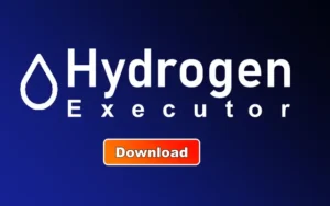 Hydrogen Executor